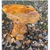 Image 3 : Maple Burl Wood Table
