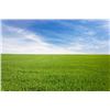 Image 3 : Hutchinson Special Blend Fertilizer