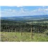 Image 2 : LIVE AUCTION ITEM - Bundle of Fence Posts