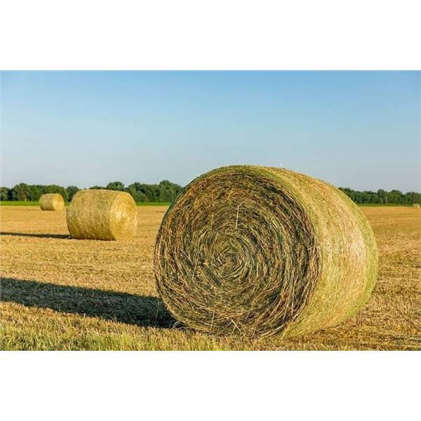 LIVE AUCTION ITEM - Five (5) Round Bales of Hay