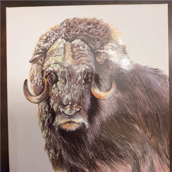 2015 Canada $100 Fine Silver Coin The Muskox Ancient Dweller of the High Arctic with COA