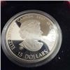 Image 2 : 2017 $15 99.99% Pure Silver Coin Autumn Pathway by Joel Kimmel, 23.17g