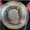 Image 3 : 2013 Canada $10 Fine Silver Coin 99.99% 34mm 15.87g Summer Fun with Case