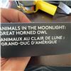 Image 8 : 2017 $30 Fine Silver Coin Animals in the Moonlight Great Horned Owl, 54mm, RCM, Boxed