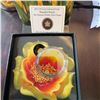 Image 1 : 2013 25-Cent Coloured Coin Eastern Prickly Pear Cactus 35mm by Claudio D’Angelo