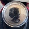 Image 3 : 2013 Canada 25-Cent Coloured Coin Barn Owl, 35mm, Limited Mintage 17500, Boxed