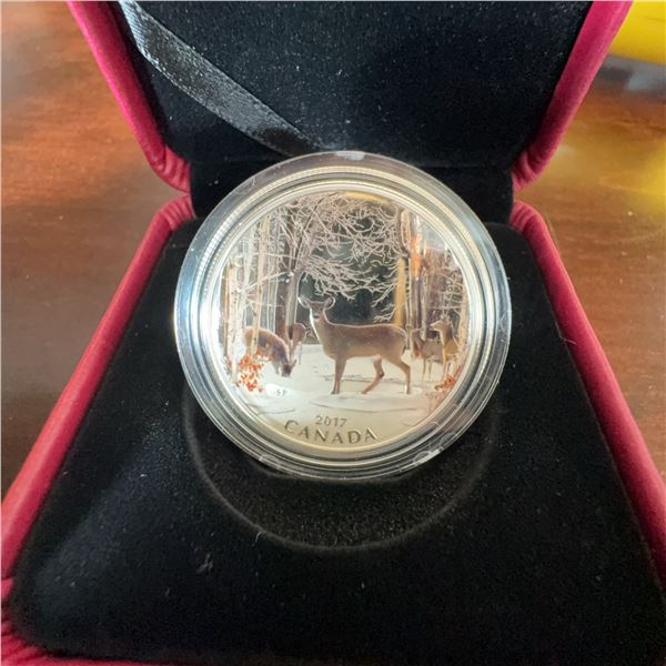 2017 Canada $10 Coloured Silver Coin by Silvia Pecota, 99.99% Pure, Queen Elizabeth II