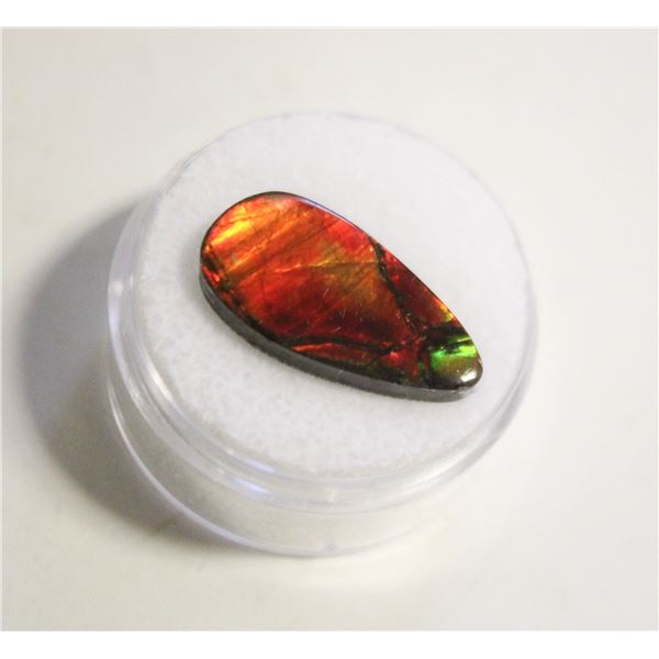 7.90CT FREEFORM AMMOLITE DOUBLET