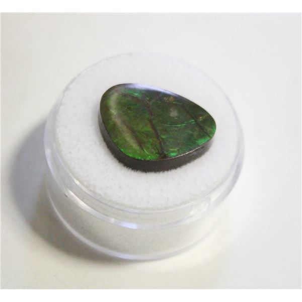 9.55CT FREEFORM AMMOLITE DOUBLET