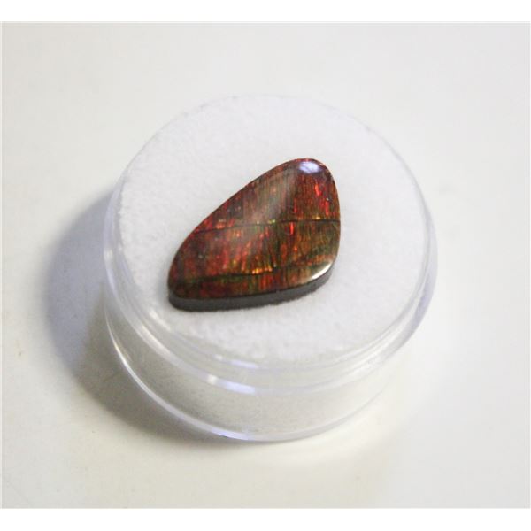 7.30CT FREEFORM AMMOLITE DOUBLET