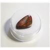 Image 1 : 7.30CT FREEFORM AMMOLITE DOUBLET