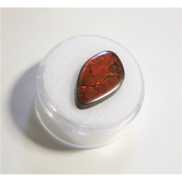 8.4CT FREEFORM AMMOLITE DOUBLET