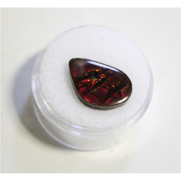 6.9CT FREEFORM AMMOLITE DOUBLET