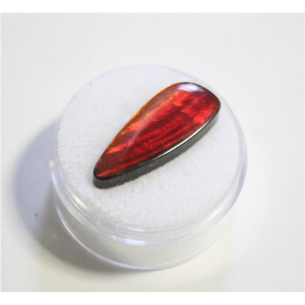 7.95CT FREEFORM AMMOLITE DOUBLET