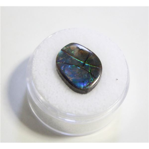 7.15CT FREEFORM AMMOLITE DOUBLET