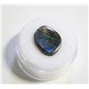 Image 1 : 7.15CT FREEFORM AMMOLITE DOUBLET
