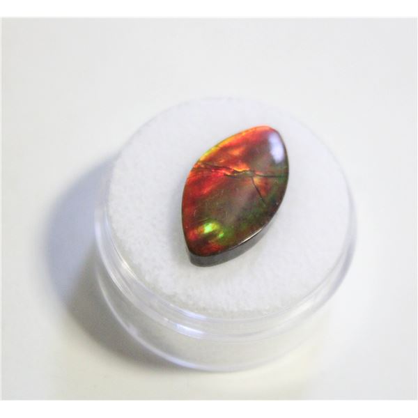 7.15CT FREEFORM AMMOLITE DOUBLET