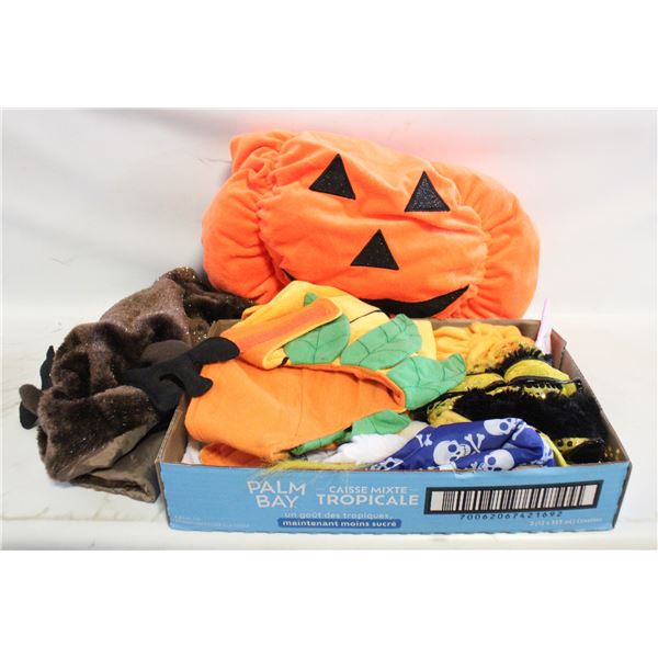 7 DOG HALLOWEEN COSTUMES, ASSORTED SIZES
