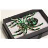 Image 1 : NEW LARGE SPIDER BROOCH GREEN & BLACK