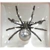Image 1 : NEW SPIDER BROOCH WITH METALLIC FAUX PEARL
