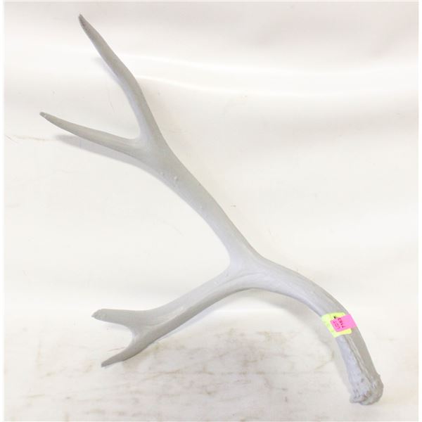 NATURAL SHED ANTLER PAINTED GREY