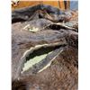 Image 6 : Late 19th Century Bear Fur Stage Coat by Gordon Ferguson St. Paul, Minnesota