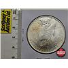 Image 2 : USA Peace Dollar 1923