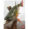 Image 3 : Custom Made Wooden Brook Trout Sculpture on Wood Base