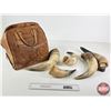 Image 1 : Assorted Cattle Horns & Tooled Leather Bag
