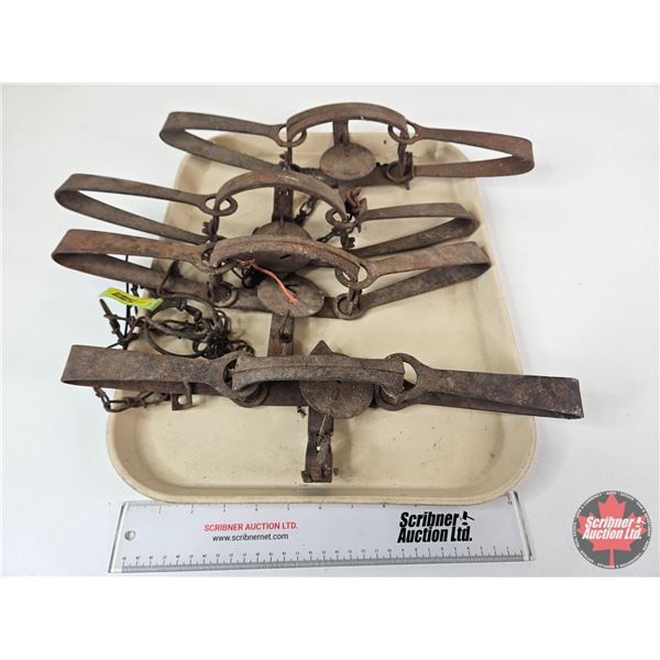 4 Double Spring Leghold Traps