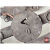 Image 3 : 4 Double Spring Leghold Traps