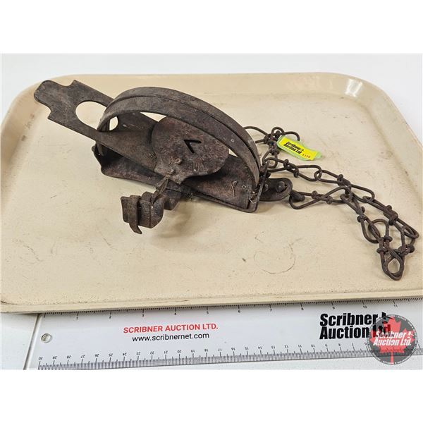 Oneida Victor No. 2 Leghold Trap