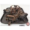 Image 9 : 6 Woods Coil Spring Leghold Traps