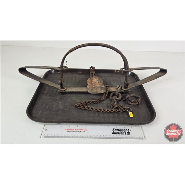 Large Double Long Spring Trap (26-1/4"L)