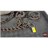 Image 7 : Large Double Long Spring Trap (26-1/4"L)