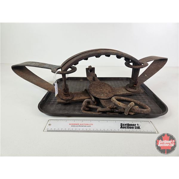 S. Newhouse No. 5 Double Long Spring Bear Trap (34"L)