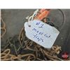 Image 7 : (5) No. 1 Long Spring Traps