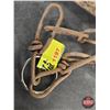 Image 8 : (5) No. 1 Long Spring Traps