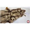 Image 4 : White Coyote Pelt (Consignor Tag: White Coyote : Professional Soft Tan : 41 Inches Long from Nose to