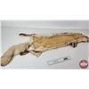 Image 5 : White Coyote Pelt (Consignor Tag: White Coyote : Professional Soft Tan : 41 Inches Long from Nose to