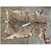 Image 1 : Hair On Mule Deer Hide : c/w Tail