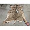 Image 2 : Hair On Mule Deer Hide : c/w Tail