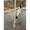 Image 4 : Hair On Mule Deer Hide : c/w Tail