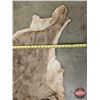 Image 5 : Hair On Mule Deer Hide : c/w Tail