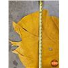 Image 7 : Tanned Moose Hide Piece : Golden Yellow