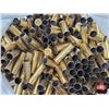 Image 8 : BRASS : .357 Magnum : (8) Bags of Empty Cases