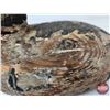 Image 10 : Wooden Duck Decoy (Consignor Tag: Very Early Bufflehead Drake : c.1890?)