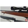 Image 18 : RIFLE: Ruger 10/22 Carbine : 22LR Semi-Auto (c/w Bushnell 3-9x40 Scope)