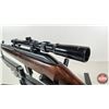 Image 15 : RIFLE: Cooey 64B : 22LR Semi-Auto : c/w Tasco Scope