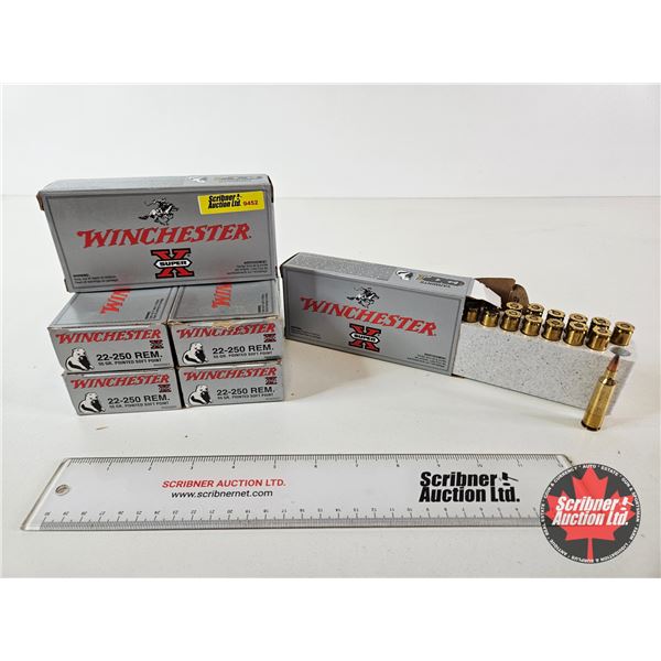 AMMO : Winchester Super-X Varmints : 22-250 Rem (55gr : PSP) (113 Rnds TOTAL)